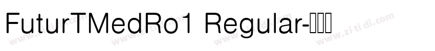 FuturTMedRo1 Regular字体转换 FuturTMedRo1 Regular字体转换